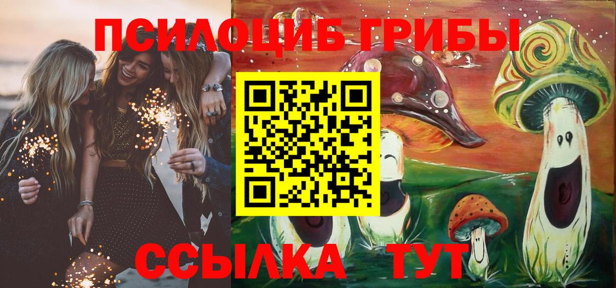 Псилоцибиновые грибы Psilocybine cubensis Ессентуки
