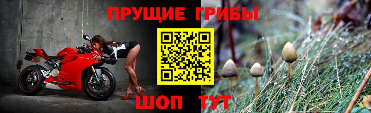 Ессентуки  Псилоцибиновые грибы Psilocybe  Вход с VPN  Псилоцибиновые грибы прущие грибы 